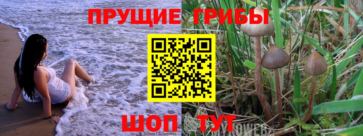 Галлюциногенные грибы Psilocybe Батайск