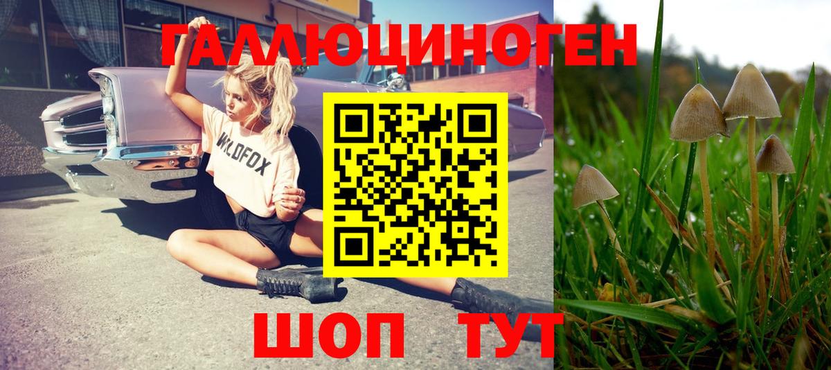 Батайск  Псилоцибиновые грибы мицелий  Галлюциногенные грибы MAGIC MUSHROOMS  Вход с VPN 